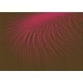 thumbnail image 1 of Ahgly Company Indoor Rectangle Patterned Dark Bronze Brown Area Rugs, 5' x 7', 1 of 6