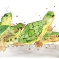 thumbnail image 2 of Atelier B Art Studio 20x20 Gold Ornate Wood Framed with Double Matting Museum Art Print Titled - SMALL AQUATIC TURTLES, 2 of 4