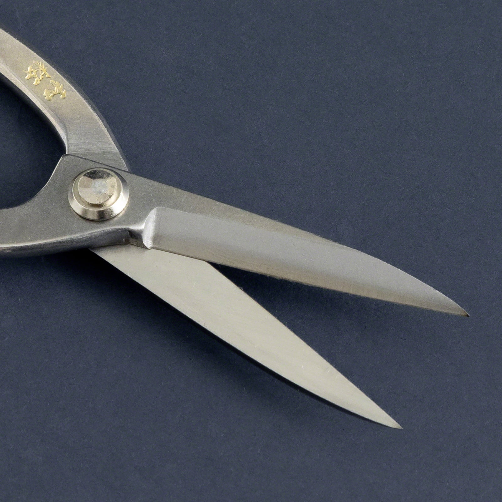 Wazakura Yasugi Stainless Steel Made in Japan Ashinaga Bonsai Scissors 8"