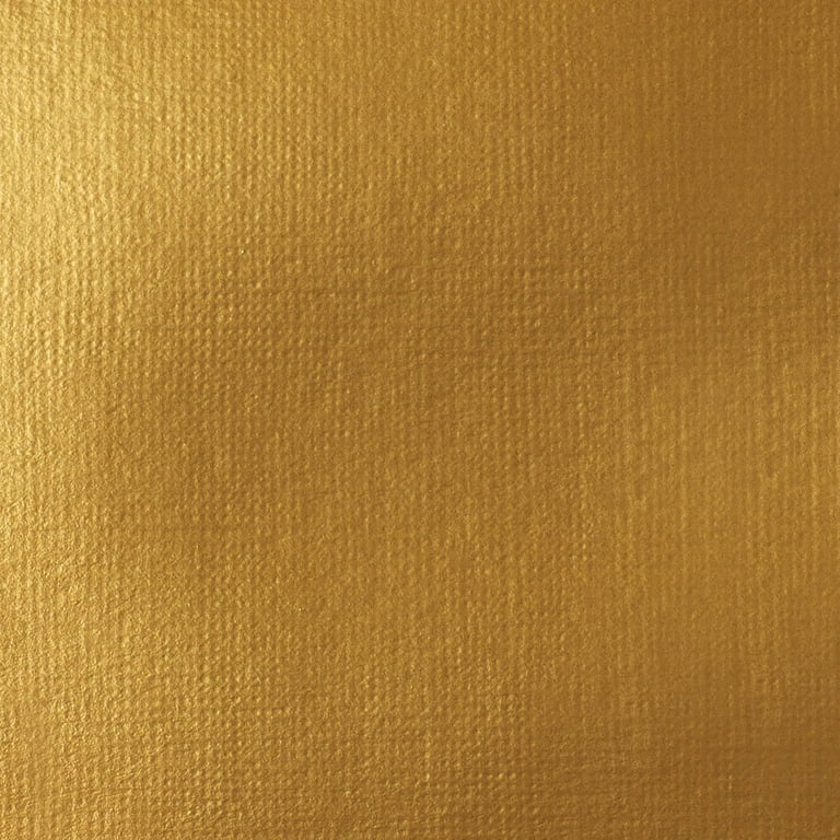 Liquitex : Professional : Heavy Body Acrylic Paint : 59ml : Iridescent Rich  Gold