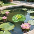 thumbnail image 4 of Garden Pond Figure Frog Flower Pot Animal Decoration Mini Pond Garden Dwarf, 4 of 5