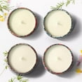 thumbnail image 2 of OSHINE 4-PACK Scented Candles Gift Set Aromatherapy Soy Candles Natural Soy 4.4 oz Strongly Fragrance Stress Relief for Halloween,Christmas,Mother's Day,Valentine's Gift,Wedding,Party,Anniversary, 2 of 7