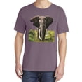 thumbnail image 2 of Wild Bobby, Wild African Forest Elephant Nature, Animal Lover, Garment-Dyed Washed Look Short Sleeve T-Shirt, Rosewood, Large, 2 of 3