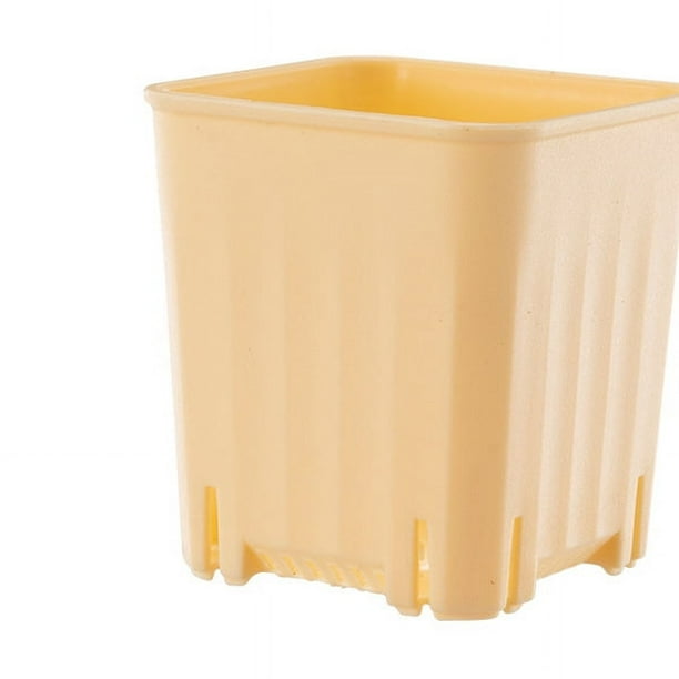 Zhuge 10 piezas de maceta de plástico para plántulas de plantas suculentas, color amarillo, pequeño, de calibre pequeño, cuadradas, para esquejes, tamaño especial: 2 x 3,15 pulgadas