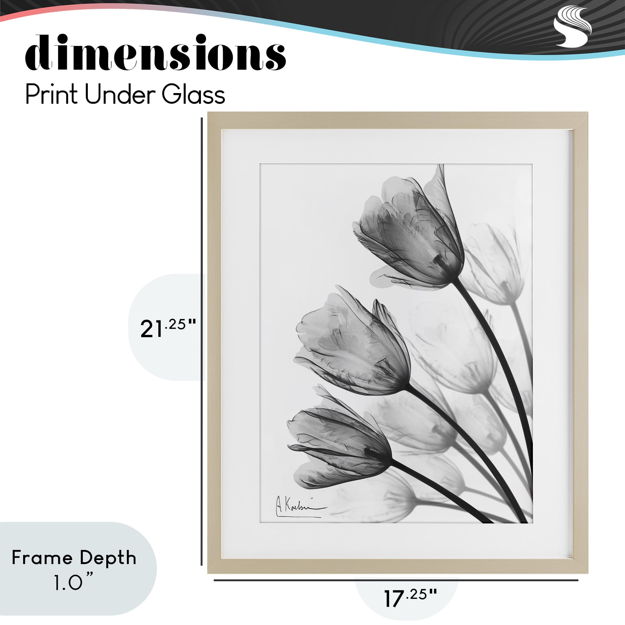 Stupell Industries Minimalist Tulip Fan Birch Framed Print Under Glass, design by Albert Koetsier