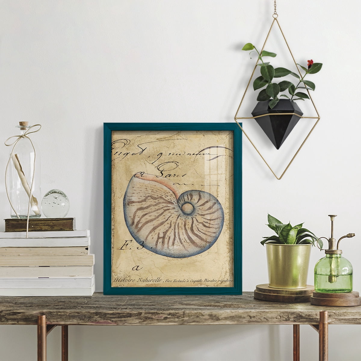 Seashell Ephemera II - Framed Print w/glass - Ocean Blue
