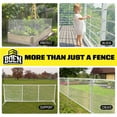 thumbnail image 3 of 4' x 50' White Multi-Purpose Garden Fence, 3 of 7