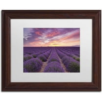 Trademark Fine Art 'Lavender Sunrise' Canvas Art by Michael Blanchette Photography, White Matte, Wood Frame