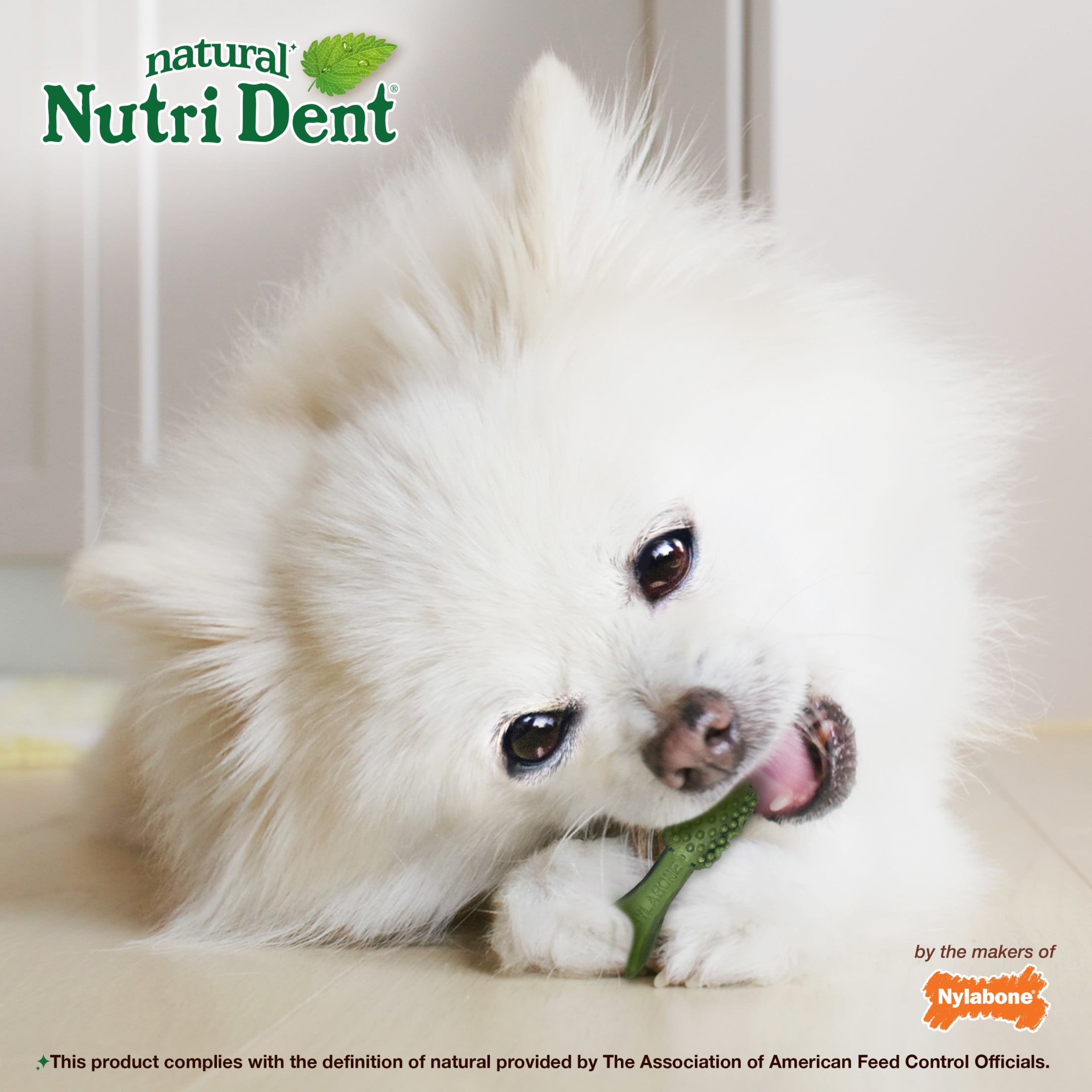 Nylabone Nutri Dent Natural Dental Chews for Dogs, Limited Ingredient Dog Treats, Teeth Cleaning Dental Sticks for Dogs, Fresh Breath Flavor, For X-Small Dogs (78 Count)