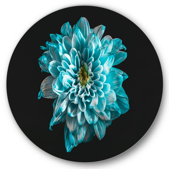 Designart 'Close Up Of Flower With White and Blue Petals' Traditional Circle Metal Wall Art 11x11 - Disc of 11