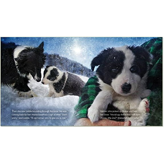 Pre-Owned A Farm for Maisie (Hardcover) 0316273600 9780316273602