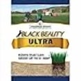 thumbnail image 3 of Jonathan Green Black Beauty Ultra Grass Seed, 1-Pound, 3 of 3