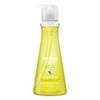 2Pc Dish Soap, Lemon Mint, 18 oz Pump Bottle