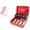 Red, variant on Metal Locking Cash Storage Box with Secure Lock & Removable Money Tray, Safe Money Security Container for Cash Register, Business, Retail & Office Cash Storage Use