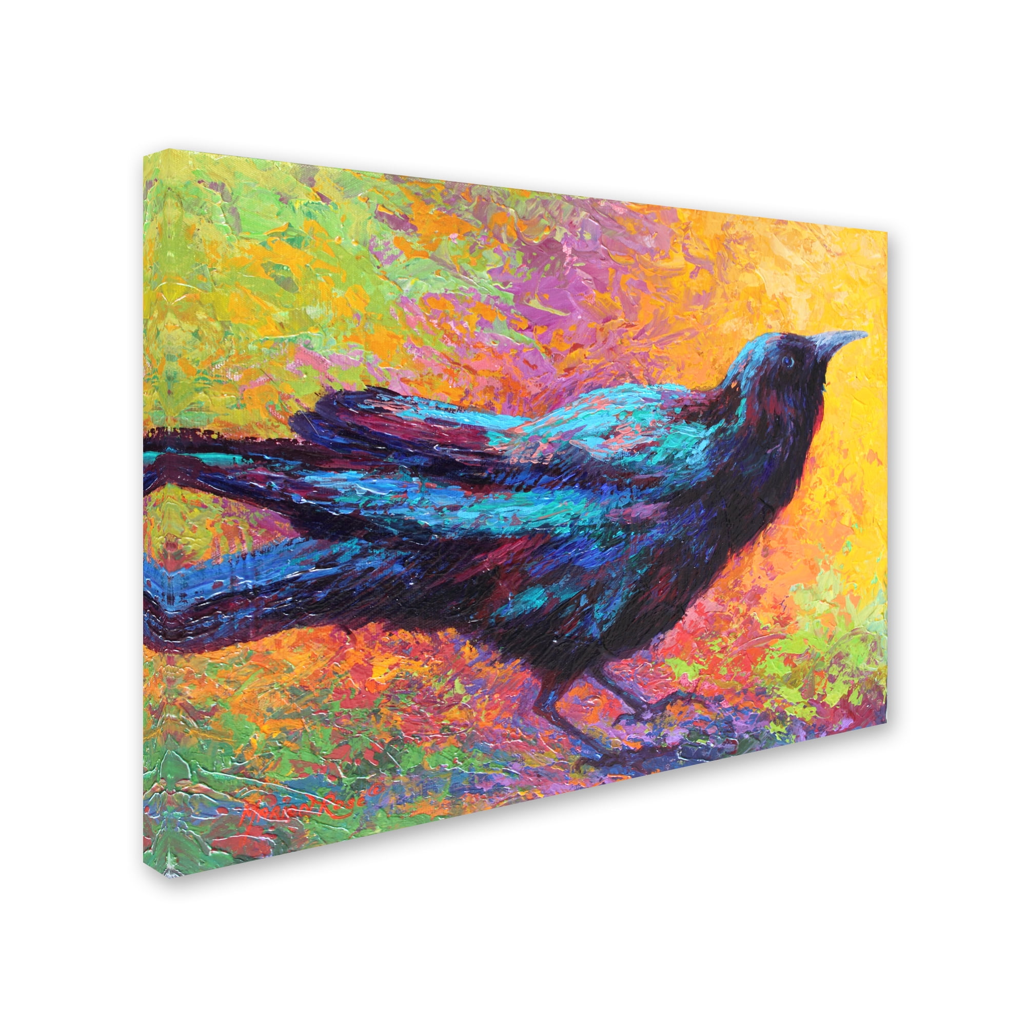 Trademark Fine Art 'Crow 5' Canvas Art by Marion Rose