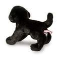thumbnail image 6 of Douglas Brewster Black Lab, 6 of 6
