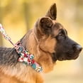 thumbnail image 4 of Accesorios Para Paseo Con Estampado Floral Para Perro Y Gato Color Azul Pastel Tamaño Del Collar Mediano, 4 of 6