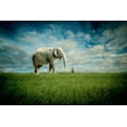 thumbnail image 2 of Madison, Jeff 18x13 Gold Ornate Wood Framed with Double Matting Museum Art Print Titled - Elephant Follow Me, 2 of 4