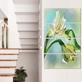 thumbnail image 1 of Esquisse de Fleurs de Lys Blanc Aquarelle - Impression sur Toile Florale, 1 of 3