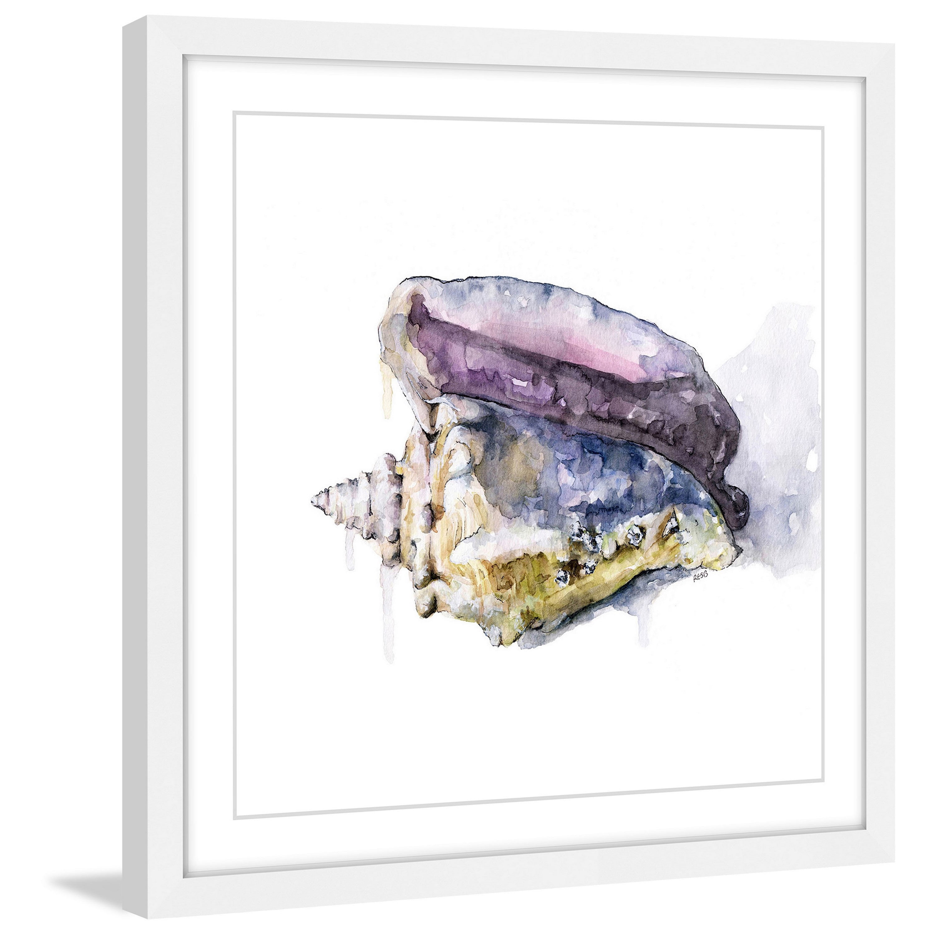 Marmont Hill "Tidal Conch" by Rachel Byler Framed Painting Print