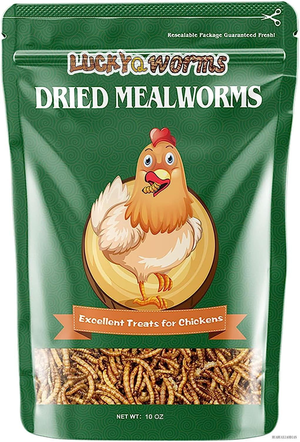 worms mealworms, highprotein dried mealworms for birds, chickens