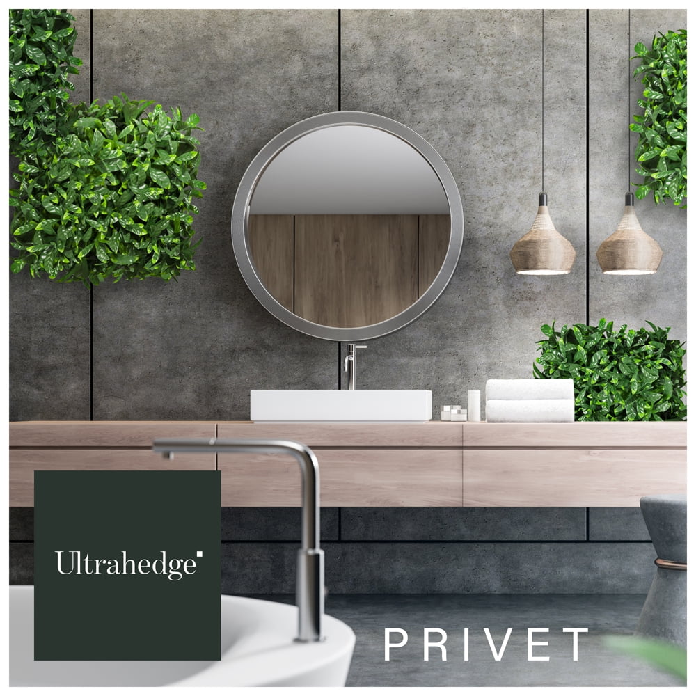 UltraHedge Privet Artificial Hedge 20" x 20" Panel, Medium Leaf 12 Pack