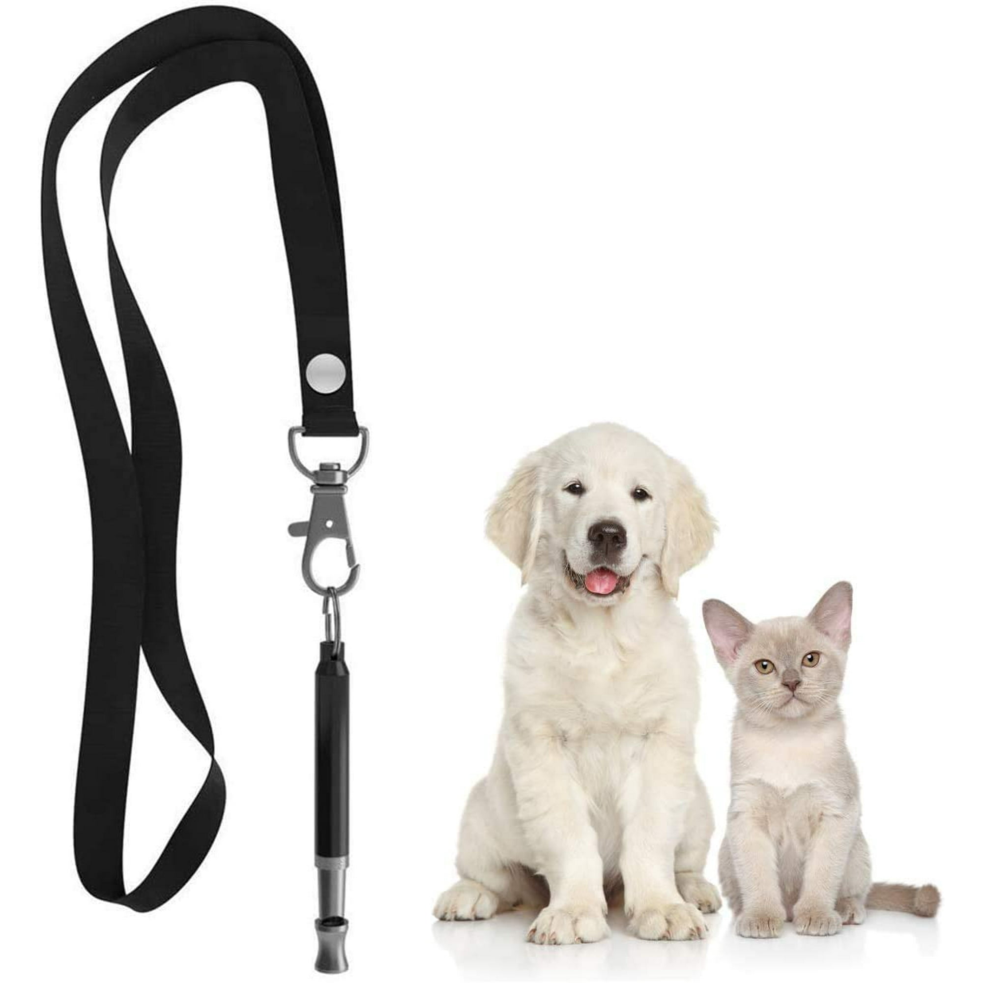 Can A Dog Whistle Stop Barking