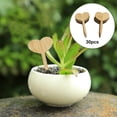 thumbnail image 1 of Plant Labels Wooden Tags Set Flowers Potted Nursery Garden Stake Note Indoor 30pcs Heart A, 1 of 9