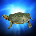thumbnail image 3 of MasteelfCA High Simulation Brazilian Tortoise Animal Model Marine Organism Decoration for Children Playing (Green), 3 of 8