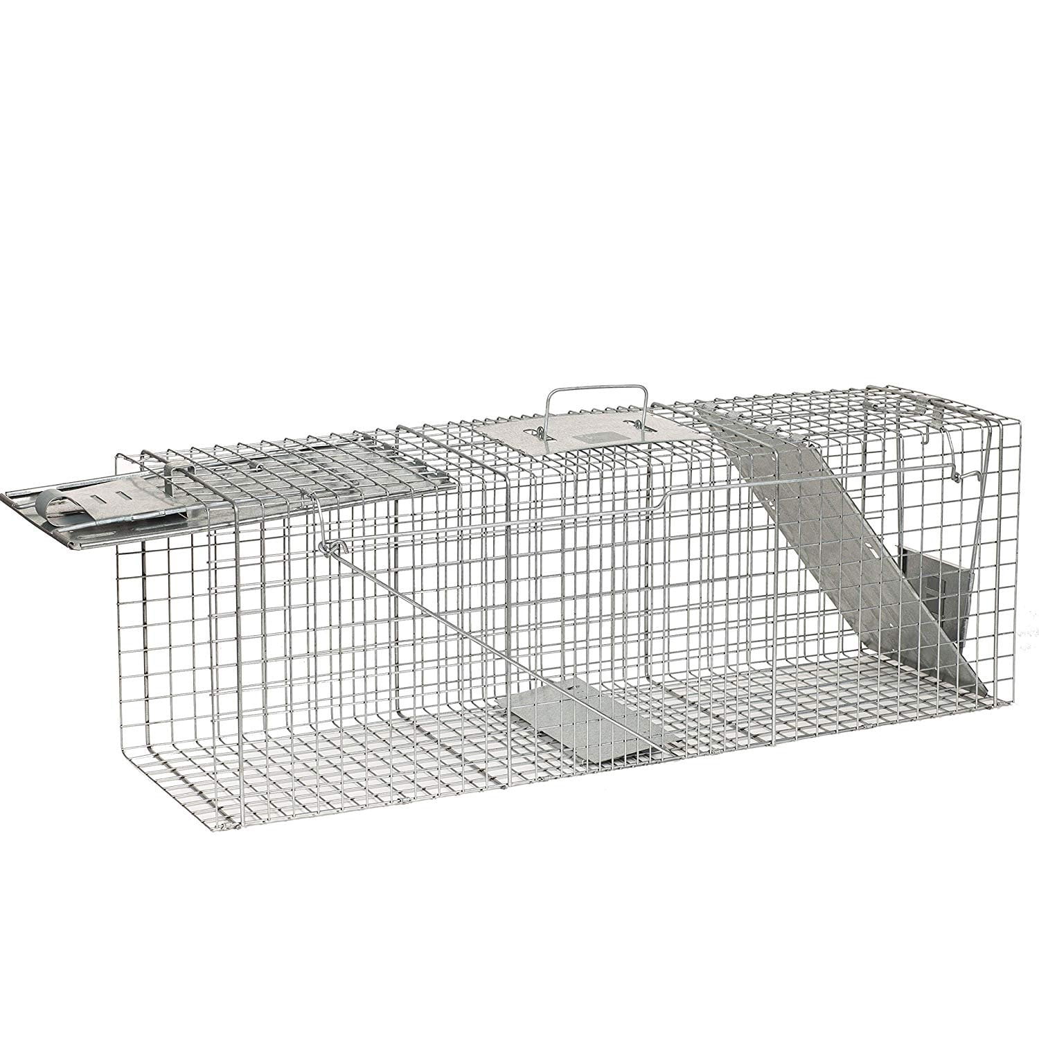 Havahart 1092 Collapsible One-Door Easy Set Live Animal Cage Trap for  Raccoons, Stray Cats, Groundhogs, Opossums, and Armadillos