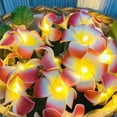 thumbnail image 3 of 9.8FT 20LEDs Hawaiian Foam Artificial Red Plumeria Flower String Lights Battery Powered for Christmas Party Home Wedding Beach Decoration, 3 of 9