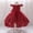E-502Brick Red, variant on FAOWME Toddler Kids Girls Dress Flying Sleeve Round Neck Solid Color Lace Trim Elegant Comfortable Mesh Tutu Dresses For Evening Party,Brick Red,18-24 Months