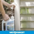 Wet & Liquid Outdoor Surface Cleaner Ready to Use Moss Mold