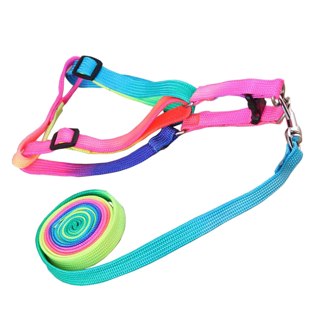 outdoorline Pet Walking Leash Harness Set Outdoor Pet Walking Colorful