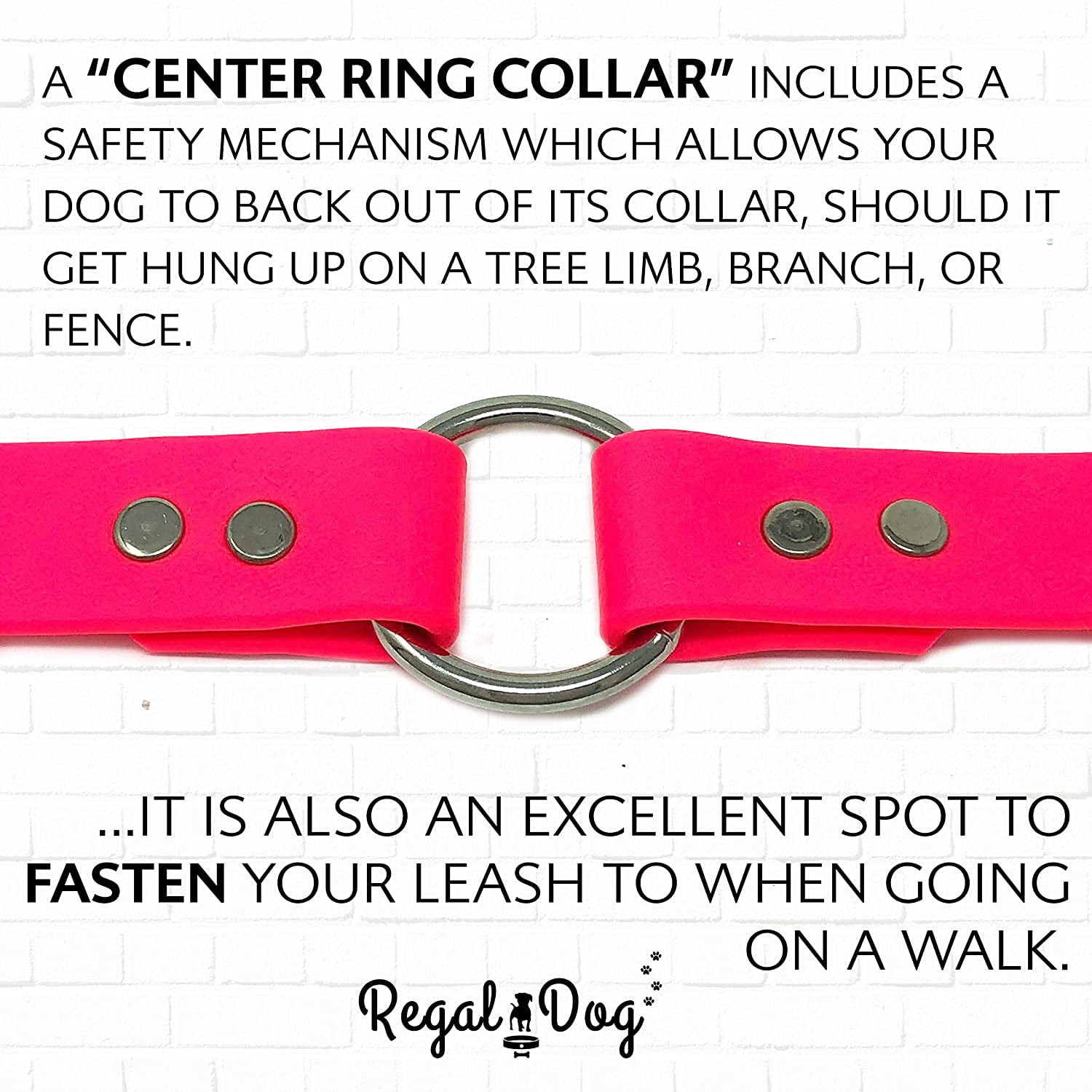 Regal Dog Products Waterproof Collar Heavy Duty Center Ring with D ring