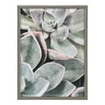 thumbnail image 2 of Kate and Laurel Blake Botanical Succulent Plants 1 Framed Printed Glass Wall Art by The Creative Bunch Studio, 18x24 Gray, Lovely Nature Art for Wall, 2 of 8