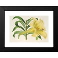 thumbnail image 2 of Charles Antoine Lemaire 14x11 Black Modern Framed Museum Art Print Titled - Lily Neilgerricum (1854-1896), 2 of 5