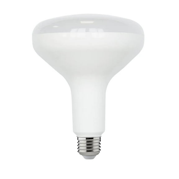 75-Watt Equivalent BR40 Dimmable LED Light Bulb In Daylight (6-Pack)