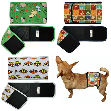 - WASHABLE Dog Diaper for MALE Belly Band Wrap NEOPRENE Reusable for SMALL and LARGE Big Breeds sz XXS (waist 6