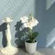 thumbnail image 4 of Planta Artificial Bewildely No Tóxico Blanco Type3 NO3, 4 of 6