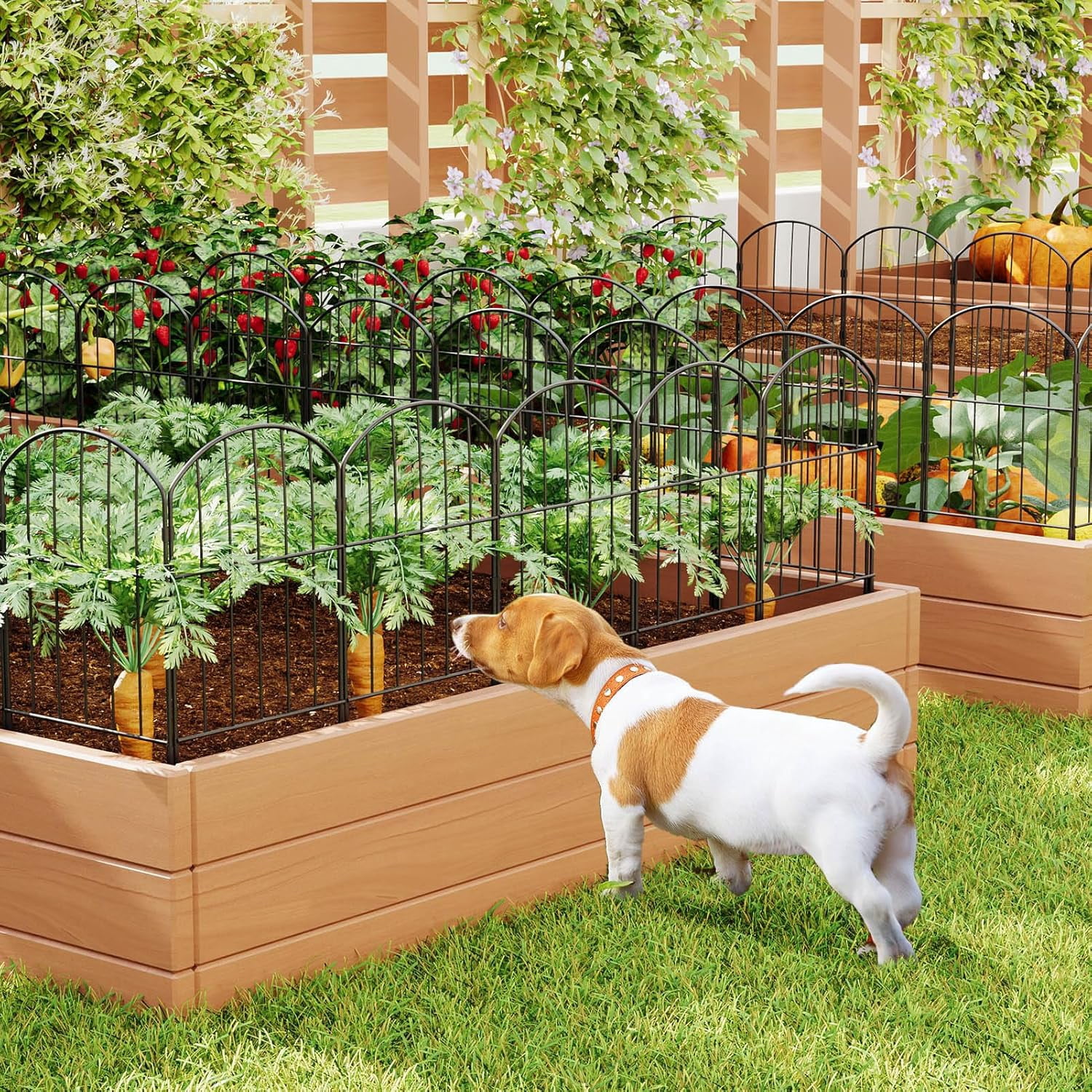 Saburrnity 10 pack Decorative Garden Fence Panels Animal Barrier for Dog, Arched Flower Bed Edging Ornamental Wire Border Panel Fencing for Yard Patio Outdoor Decor