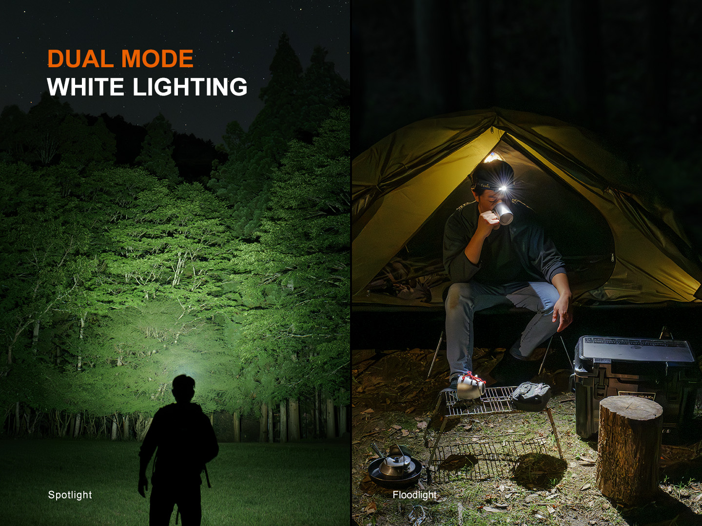 Fenix HM55R 1200 Lumen Lightweight Rechargeable Running Headlamp (Black) + LumenTac Organizer