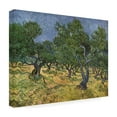 thumbnail image 3 of Trademark Fine Art Vincent Van Gogh Olive Orchard Midjune Canvas Wall Art - 35x47, 3 of 5