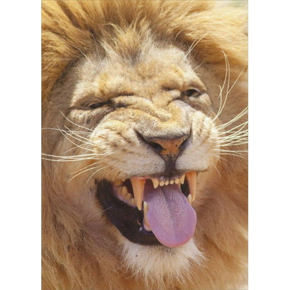 Designer Greetings Lion Sticking Out Tongue Funny / Humorous Birthday Card