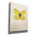 thumbnail image 2 of Epic Graffiti 'Gonepteryx Rhamni' by Incado, Giclee Canvas Wall Art, 26"x34", 2 of 8