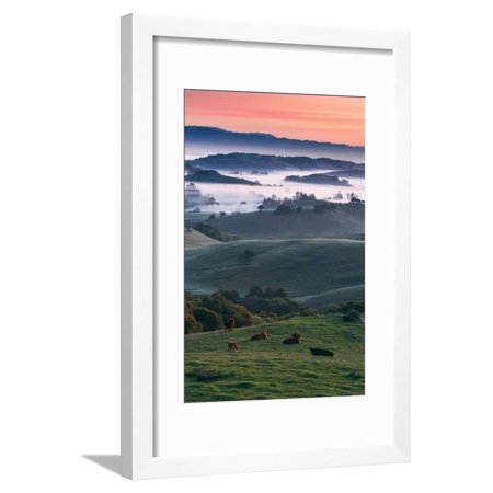Spring Hills With Fog Petaluma Sonoma California Framed Print Wall Art By Vincent James