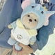 thumbnail image 4 of 30cm High Quality Handmade Bear Plush Toy Cosplay Change Dress Cloth Girl Hug Cuddly Plushie Doll for Girlfriend Christmas Gift 26s, 4 of 5