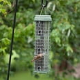 thumbnail image 3 of Original Evenseed Squirrel Dilemma Bird Feeder, 3 of 8