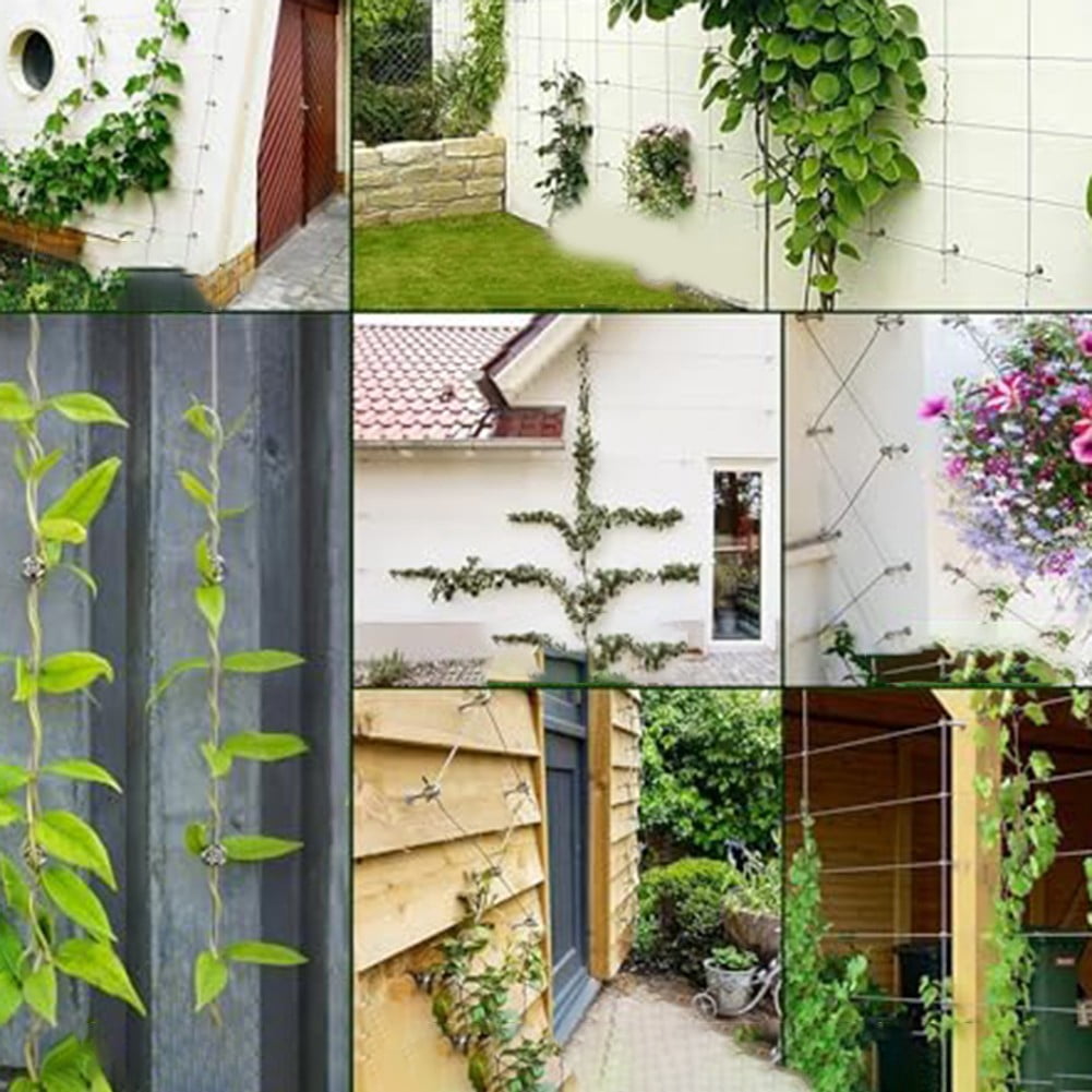 Modern Stainless Steel Wire Trellis for Climbing Plants - DIY Garden Solutions