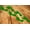Green, variant on FOOTPRINTS ~ WALL OR FLOOR DECAL, HOME DECOR QTY 6 feet ea. 2" X 5"